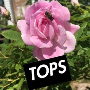 Create a bundle & I’ll give a DISCOUNT